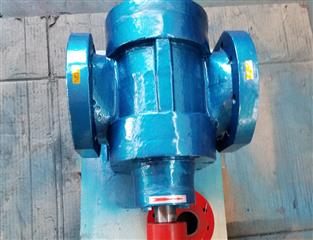 LB型冷凍機(jī)專用泵