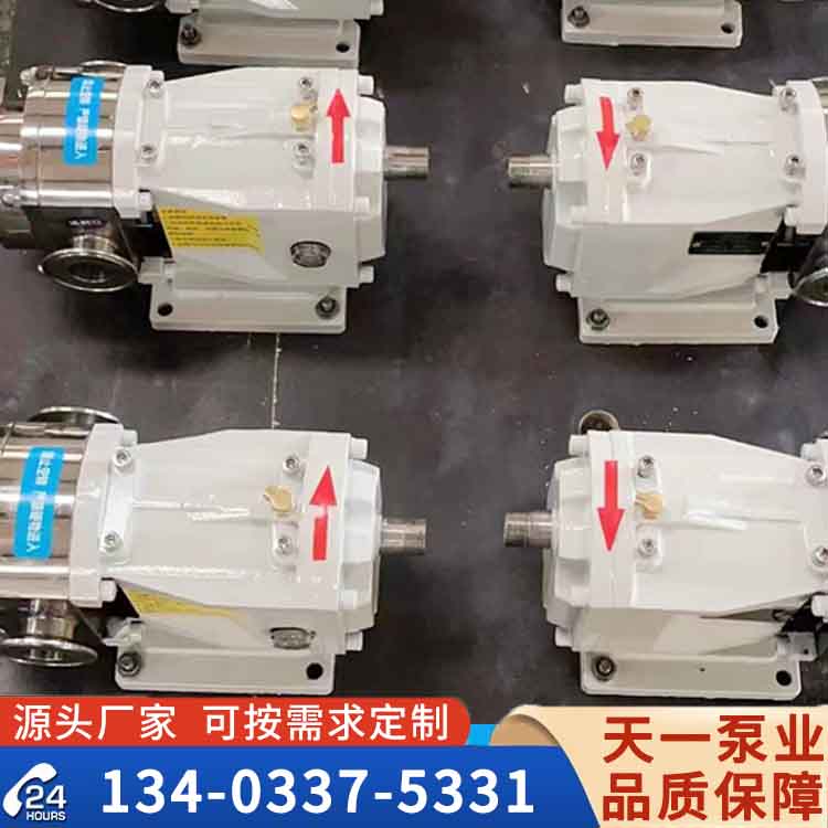 江蘇凸輪轉(zhuǎn)子泵