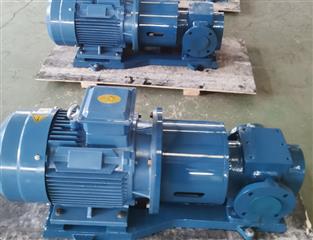 江蘇磁力齒輪泵