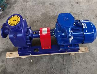 100CYZ自吸離心泵