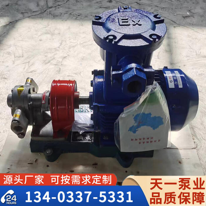 KCB18.3不銹鋼齒輪