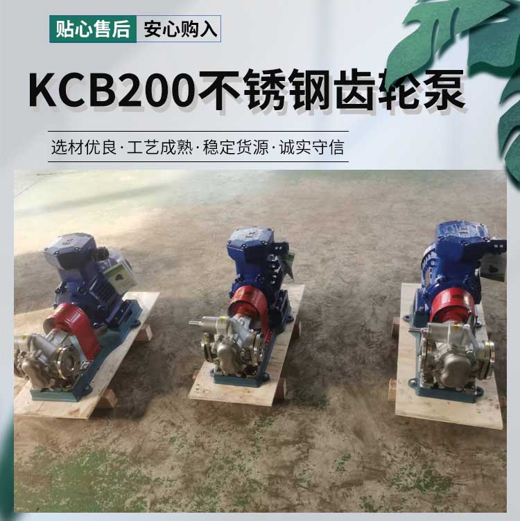 <strong>KCB200不銹鋼齒輪泵</strong>