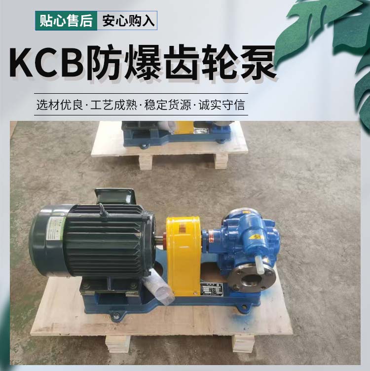 <strong>KCB防爆齒輪泵</strong>