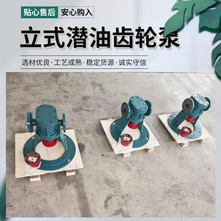 立式潛油齒輪泵