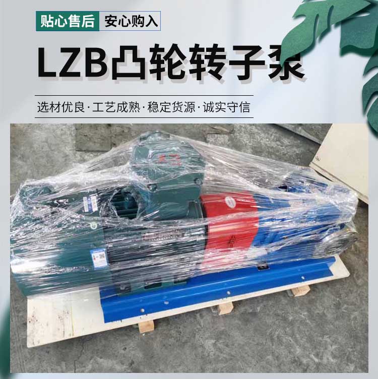 LZB凸輪轉子泵